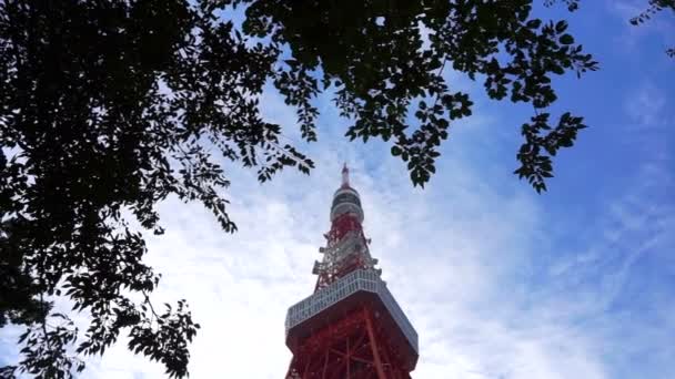 Tokyo, Japan - September 2016: Tokyo tower med träd förgrunden låg vinkel majestätiska japanska världen ikoniska landmärke — Stockvideo