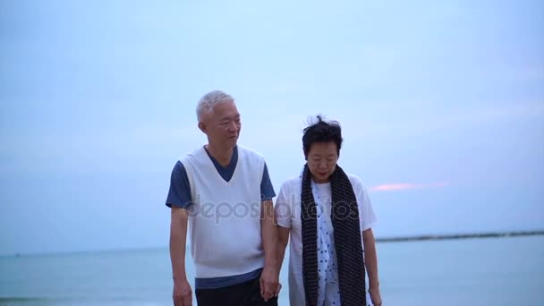 Liefdevolle Aziatische senior paar gelukkig samen bij zonsopgang van de Oceaan — Stockvideo