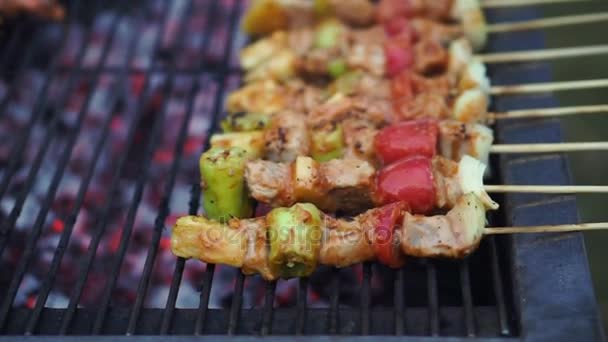 Fleisch- und Gemüsespieße auf einem Holzkohlegrill — Stockvideo