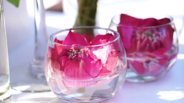 Pink lotuses flower floating in glass water cup. Oriental Asian concept background — Stock Video