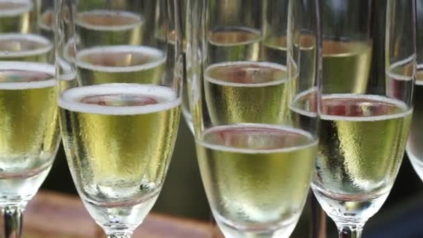 Ряд бокалов с шампанским для празднования — стоковое видео