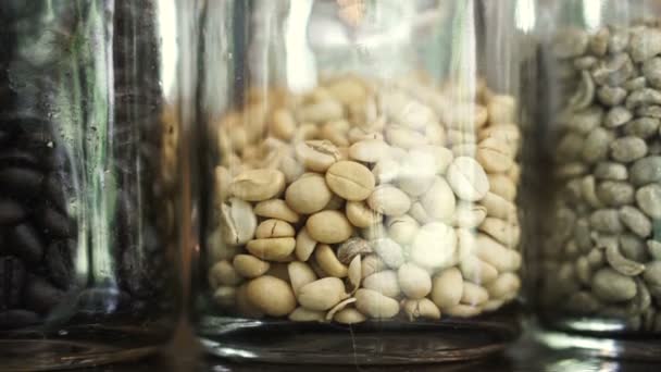 Kavrulmuş kahve çekirdekleri cam 3 farklı seviye, hafif, orta ve koyu kızartma kavanoz — Stok video
