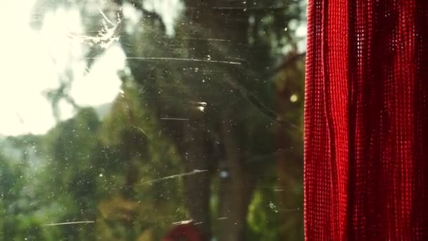 Video roter Vorhang am Morgenfenster zeigt Baum, Natur und Garten im Freien — Stockvideo