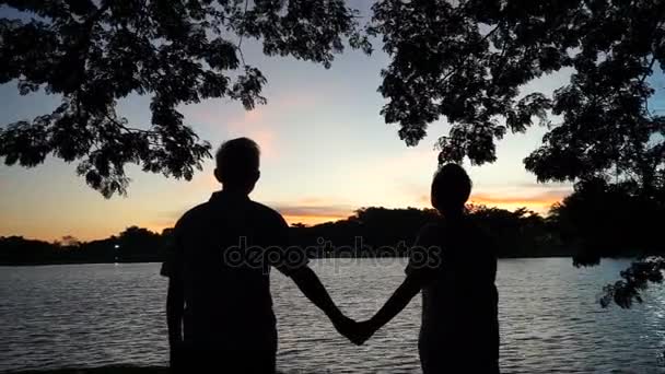 Silhouette de couple asiatique senior à l'aube sous l'ombre des arbres. Penser à la vie — Video
