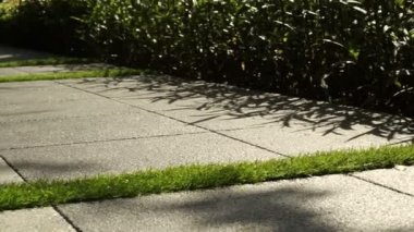 Manzara ayrıntı, yeşil çim ve Bahçe tasarımı parke genel