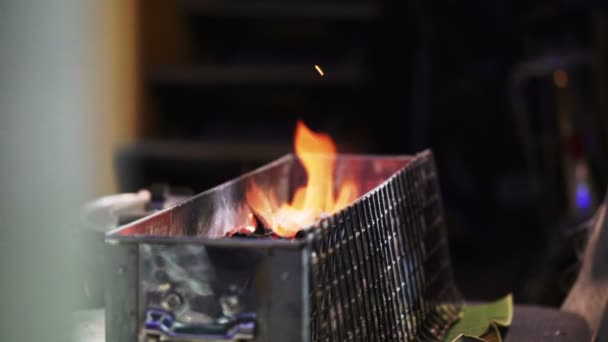 Fogo a carvão em câmara lenta 120 fps. Cozinha churrasco preparando — Vídeo de Stock