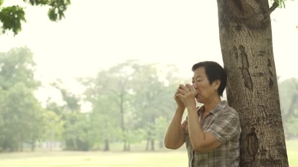 Asyalı kadın kıdemli güneş şafak arka plan ağaç altında kahve içme — Stok video