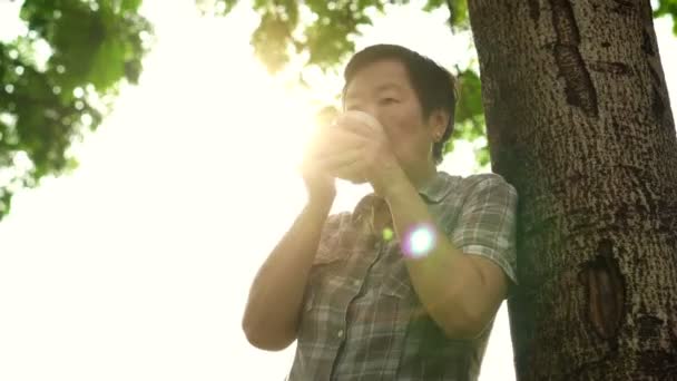 Asiática senior mujer bebiendo café bajo el árbol con sol amanecer fondo — Vídeos de Stock