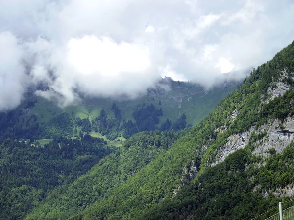 美丽的壮丽景色，从路的欧洲之旅。与森林山高山景观 — 图库照片