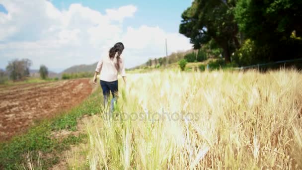 Kvinna bonde, Asiatisk tjej vidröra, promenader och kontrollera på hennes gyllene korn fältet — Stockvideo