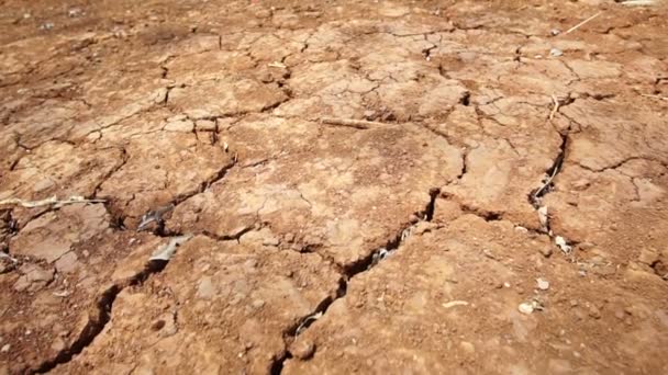 Terre séchée et fissurée ralenti pan vidéo feuilles séchées roulant sur le sol ralenti — Video