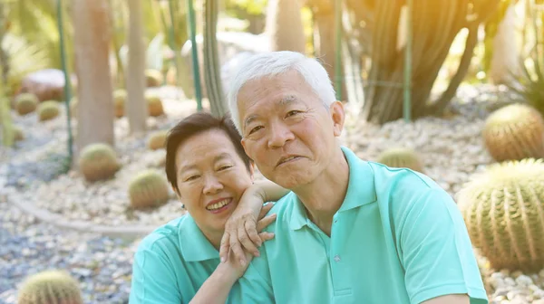 Asian senior couple in Cactus garden — Stock Photo, Image