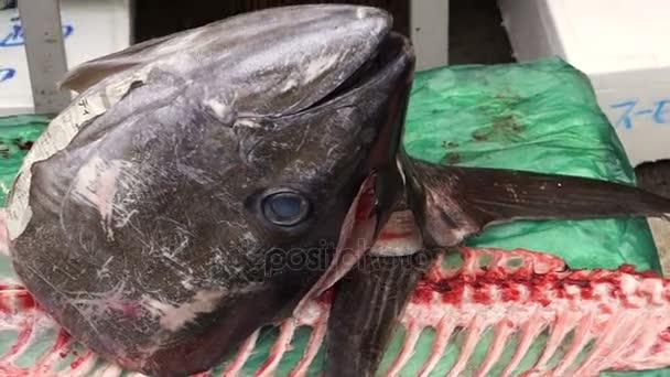 Tokyo, Japan: December 2016 -Fresh head and bone of expensive big blue fin tuna showing in front of restaurant in Japan — Stock Video