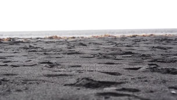 4K Praia de lava arenosa preta em Vik, Islândia. Baixo ângulo, incline-se para a praia de referência perto de pilhas de mar de basalto — Vídeo de Stock