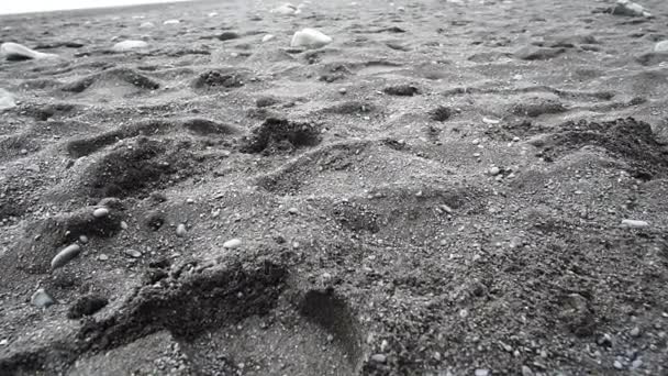 Praia de lava arenosa preta em Vik, Islândia. Movimento lento 120fps Baixo ângulo, inclinar-se praia de referência perto de basalto pilhas do mar — Vídeo de Stock