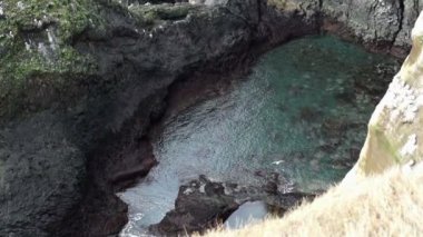 İzlanda martılar cliff Londrangar yarımada, ellerinden geleni uçan çevrede yaşıyor. Yavaş çekimde 120 fps hareket