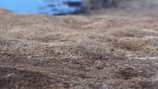 Island Londrangar klippformation på halvön snaefellsnes. Fantastiska vulkaniska landskapet av Island National park — Stockvideo