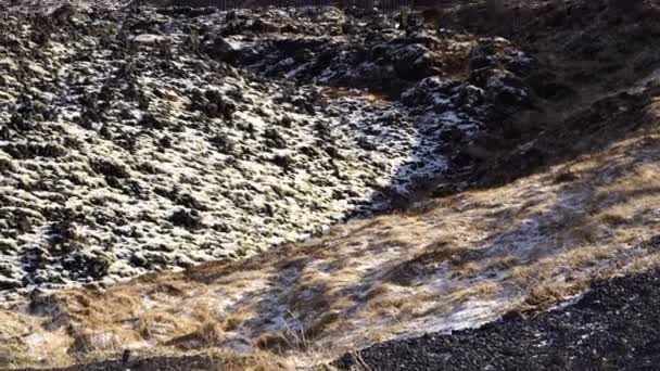 Common scene of Iceland landscape. Snow mountain and dried meadow — Stock Video