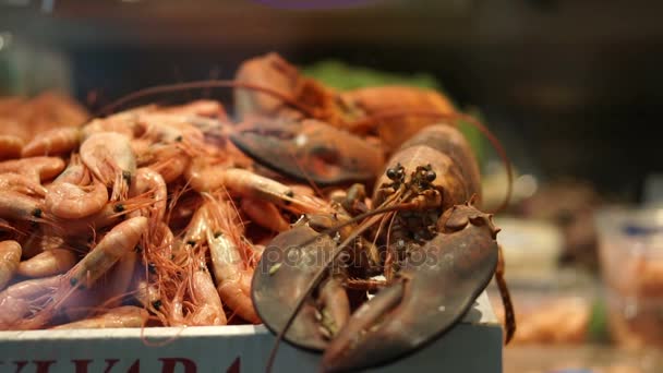 Hromada čerstvých velké humři a krevety. Vařené mořské plody pro prodej na volném trhu — Stock video