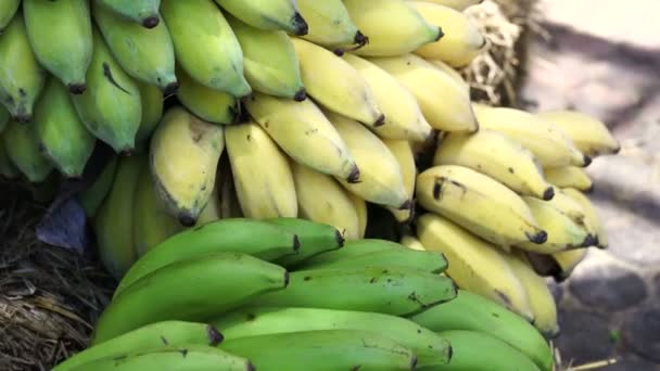Verde acerba e giallo maturo banana tagliato e posto per la vendita nel mercato 4k — Video Stock