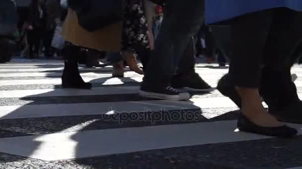 Tokyo, Japan - December 2016: Japanse mensen wandelen in prachtige zon kruising en langs wandelstraat in Tokyo — Stockvideo