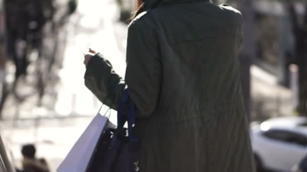 Personnes anonymes montant et descendant la passerelle piétonne en plein soleil d'hiver à Tokyo, Japon — Video