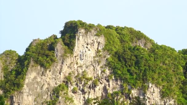 Montanha calcária com árvores verdes de floresta em Krabi, Tailândia — Vídeo de Stock