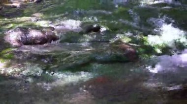 Tropik şelale ve Zümrüt su birikintisi. Vahşi orman akarsu, Krabi, Tayland Thailand