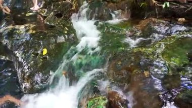 Tropik şelale ve Zümrüt su birikintisi. Vahşi orman akarsu, Krabi, Tayland Thailand