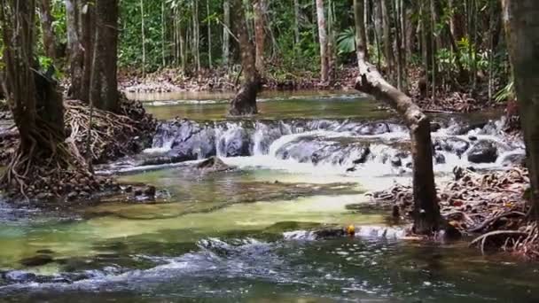 Cascata tropicale e stagno di smeraldo. Selvaggio torrente foresta di Krabi Thailandia — Video Stock