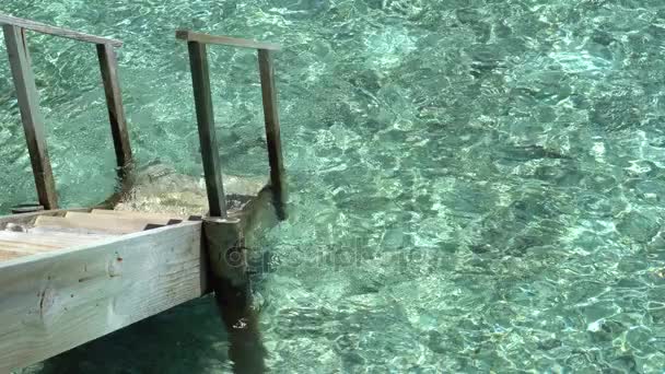 从别墅直接水晶般清澈的海水在马尔代夫从私人楼梯走下来 — 图库视频影像