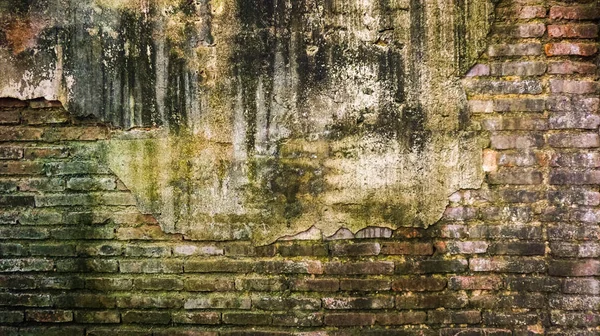 Knäckt gamla tegel och betong vägg täckt med mossa och träd bålen. hög luftfuktighet överge textur bakgrund — Stockfoto