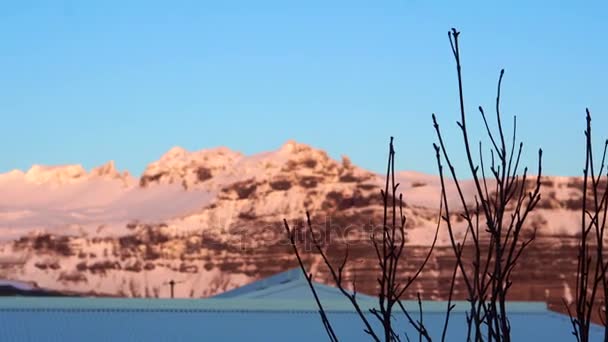 Snow alpine mountain cover in orange color from sun dawn with dried tree foreground — Stock Video