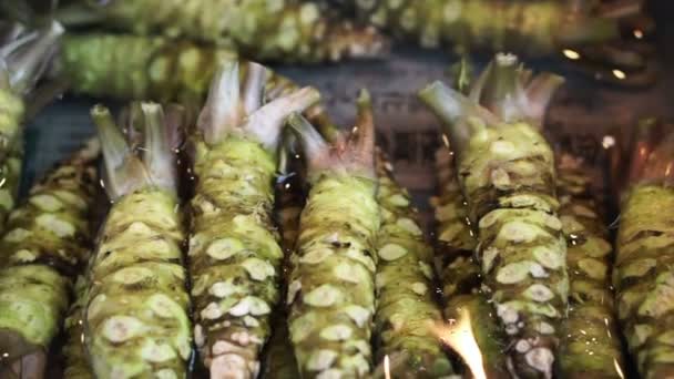 Vente de wasabi frais au marché aux poissons de Tsukiji. Ingrédient principal pour la nourriture japonaise sushi nigiri — Video