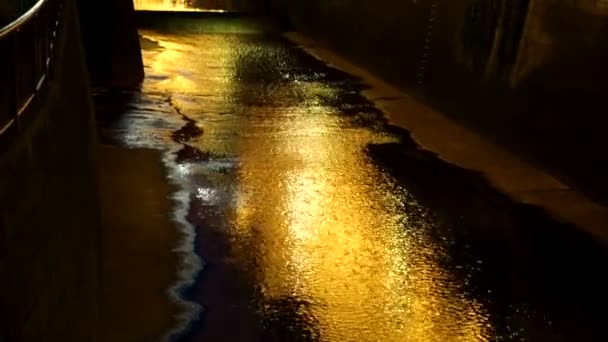 아름 다운 황금빛 조명 크리스마스 빛 도쿄, 일본 나카메구로 운하에 빛 반영 — 비디오