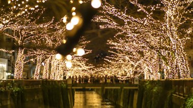 Güzel altın aydınlatma Noel Tokyo, Japonya'da ışık. Işık Nakameguro kanalda yansıtacak