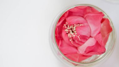 Pembe lotus, nilüfer su bardağına süsleyin. Düğün ve Sevgililer için modern tarzı Tema
