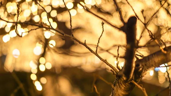 Hermosa iluminación dorada Luz de Navidad en Tokio, Japón. La luz se refleja en el canal de Nakameguro — Foto de Stock