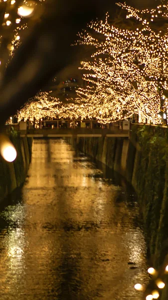 Güzel altın aydınlatma Noel Tokyo, Japonya'da ışık. Işık Nakameguro kanalda yansıtacak
