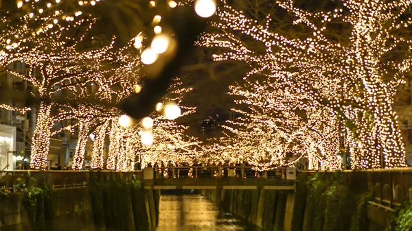 Hermosa iluminación dorada Luz de Navidad en Tokio, Japón. La luz se refleja en el canal de Nakameguro — Foto de Stock