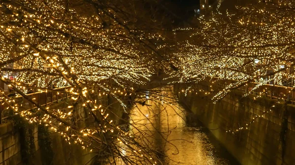 Hermosa iluminación dorada Luz de Navidad en Tokio, JapónHermosa iluminación dorada Luz de Navidad en Tokio, Japón. La luz se refleja en el canal de Nakameguro. L — Foto de Stock