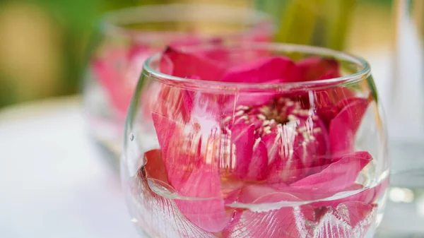 Loto rosa, lirio de agua decorar en vaso de agua. Tema de estilo moderno para bodas y San Valentín — Foto de Stock