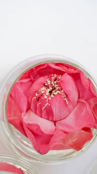 Lotus rose, nénuphar décorent en verre d'eau. Thème de style moderne pour mariage et Saint-Valentin — Photo