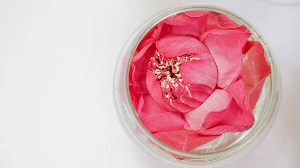 Pink lotus, water lily decorate in water glass. Modern style theme for wedding and valentines — Stock Photo, Image