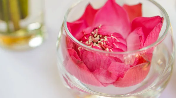 Pink lotus, water lily decorate in water glass. Modern style theme for wedding and valentines — Stock Photo, Image