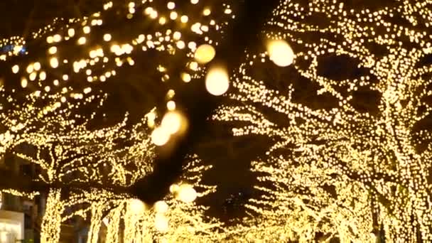 Hermosa iluminación Luz de Navidad en Tokio, Japón en el canal de Nakameguro. Multitud caminando por ahí para celebrar. Desenfocado — Vídeos de Stock