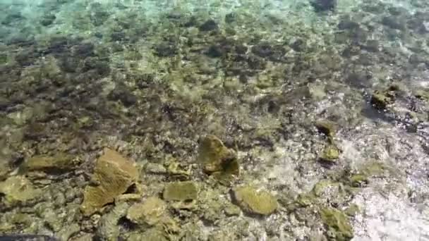 Jasne morze ocean indyjski w Malediwy. Kamienia i piasku Zobacz poprzez przejrzyste wody — Wideo stockowe