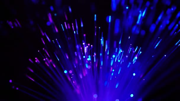 Glowing blue and purple illuminate fiber optic light, abstract futuristic and sci-fi on dark background — Stock Video