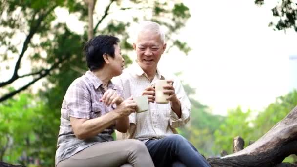 Feliz pareja de ancianos asiáticos de edad citas en el parque por la mañana. Conversación de café — Vídeos de Stock