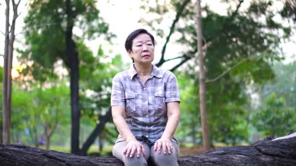 Glückliches altes asiatisches Seniorenpaar, das sich morgens im Park trifft. Kaffeegespräch — Stockvideo